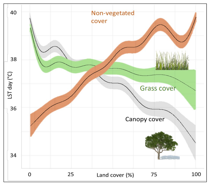 Impact des arbres sur les températures