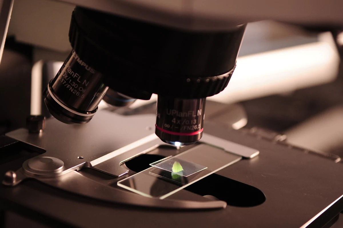 close-up-of-microscope-256262.jpg