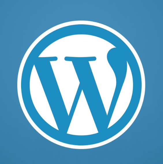 Wordpress va permettre la mise à jour automatique des thèmes et plug-ins
