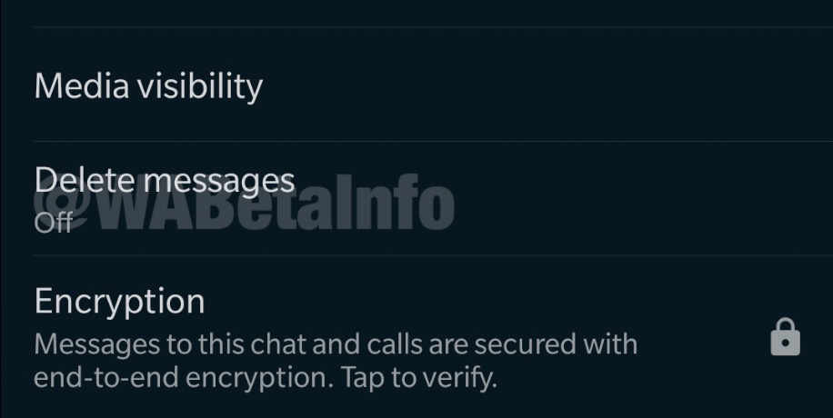 WhatsApp autodestruction message