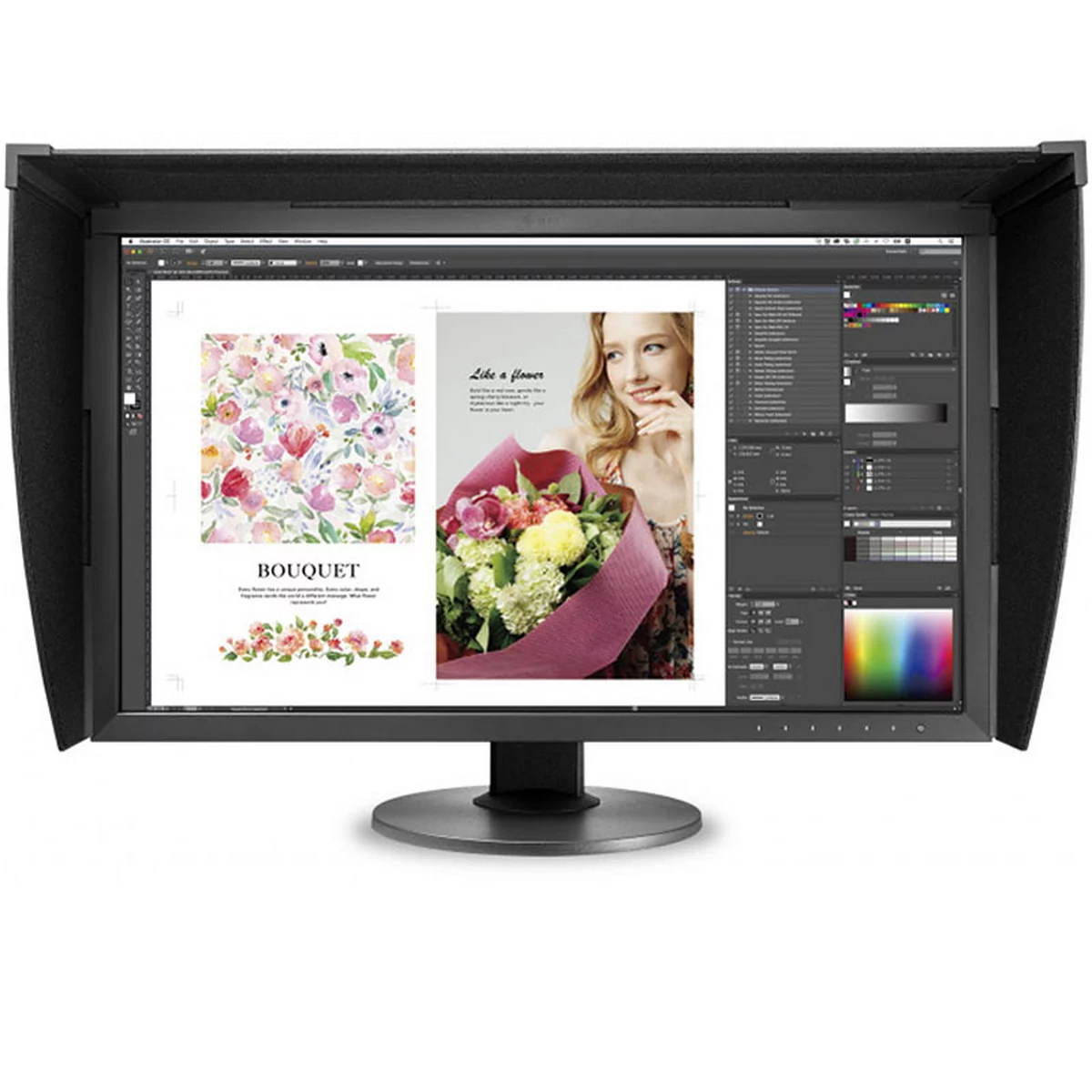 Eizo ColorEdge CG2730