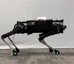 Google travaille à reproduire les mouvements d'un animal à un robot avec plus d'efficacité
