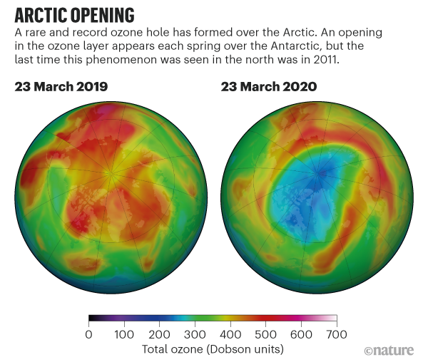 ozone arctique