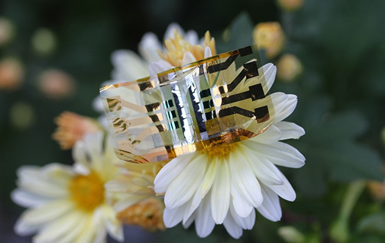 Des cellules solaires flexibles pour alimenter les futures montres connectées ?