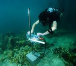 Projet CORaiL : Intel compte sur l'intelligence artificielle pour surveiller les récifs coralliens