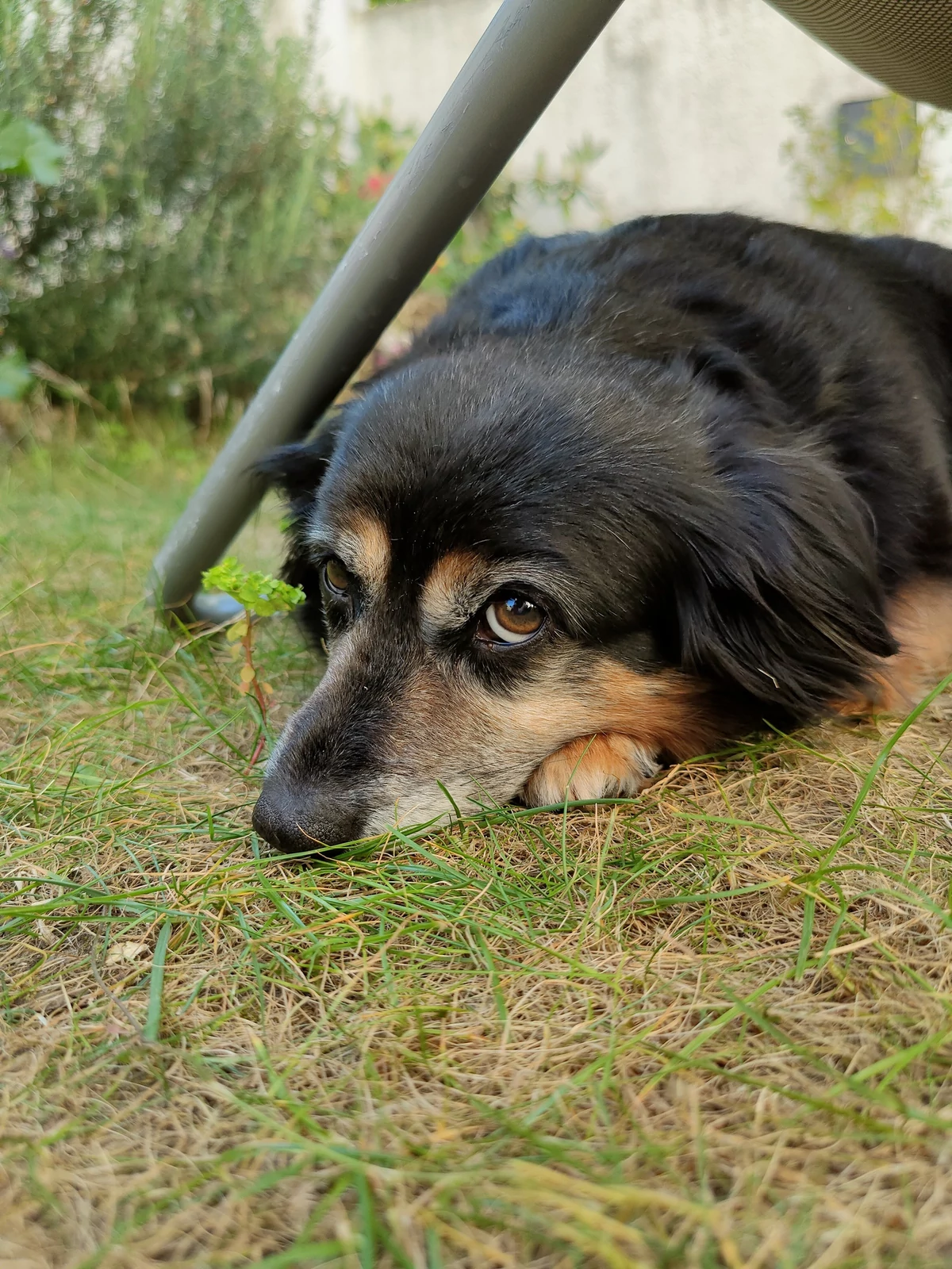 photo test Oppo Find X2 Pro