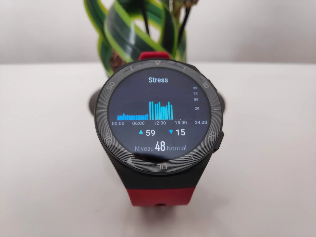 Huawei Watch GT2e - Cadran stress