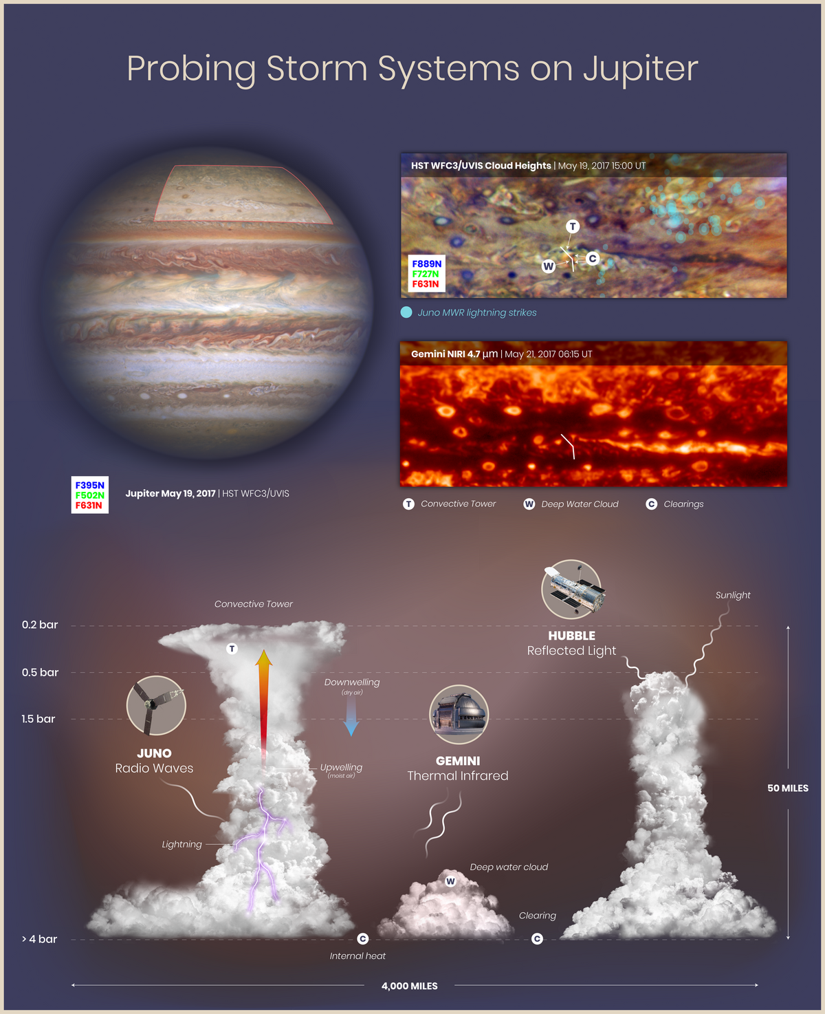Météorologie Jupiter © NASA