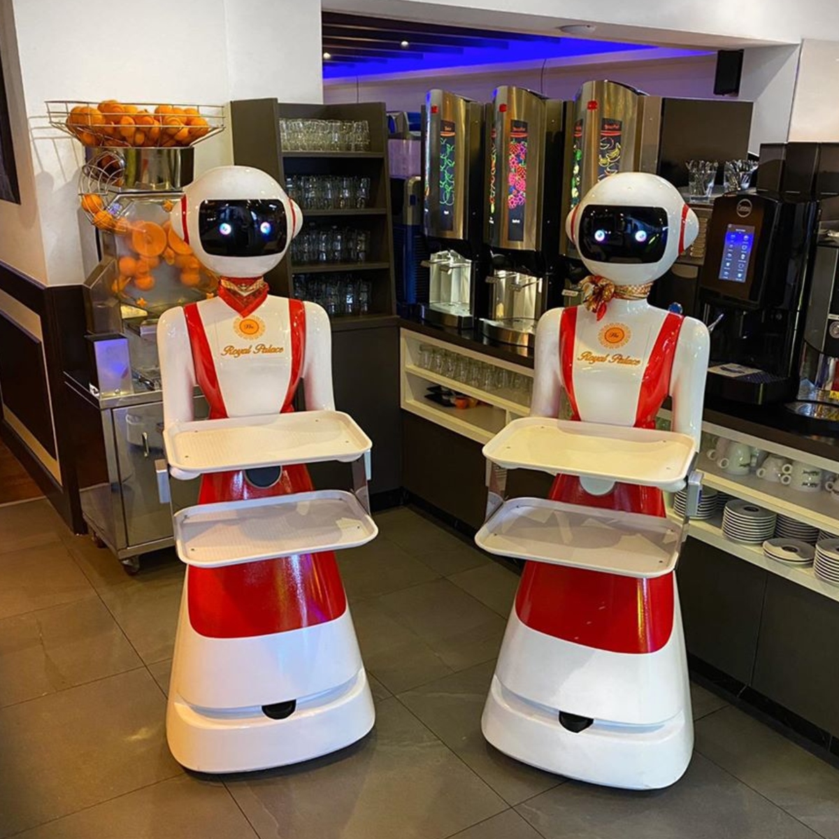 Des robots serveurs au secours des restaurateurs néerlandais, distanciation physique oblige