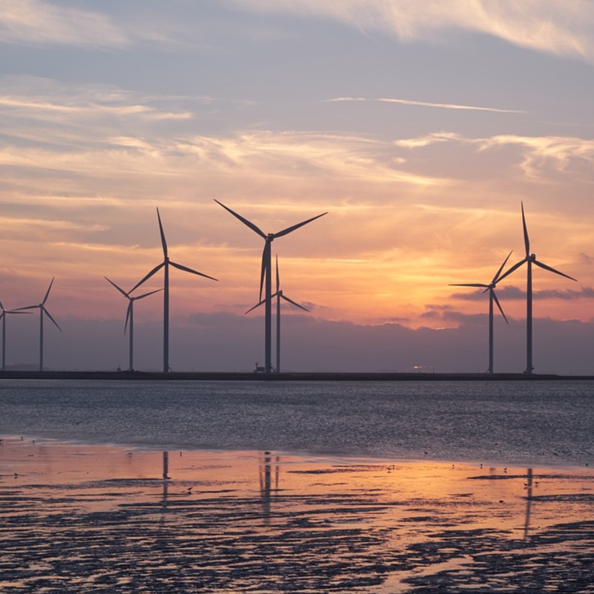 Total poursuit ses investissements dans l'éolien et devient partenaire d'un projet offshore géant écossais