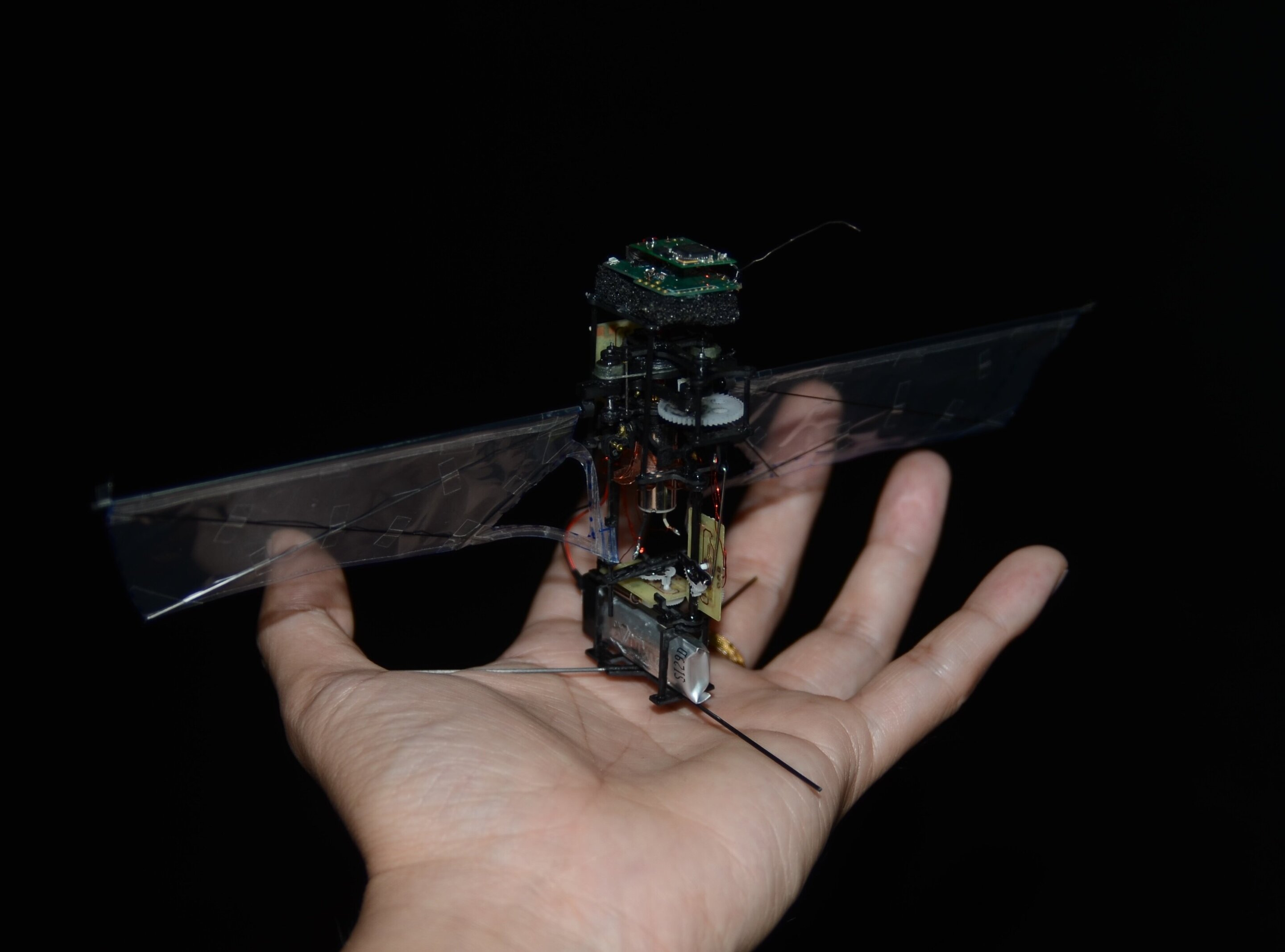 Découvrez KUBeetle-S, un tout petit robot volant inspiré d'un insecte