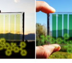 Photovoltaiques et photochromiques, les vitres du futur sont sur la bonne voie