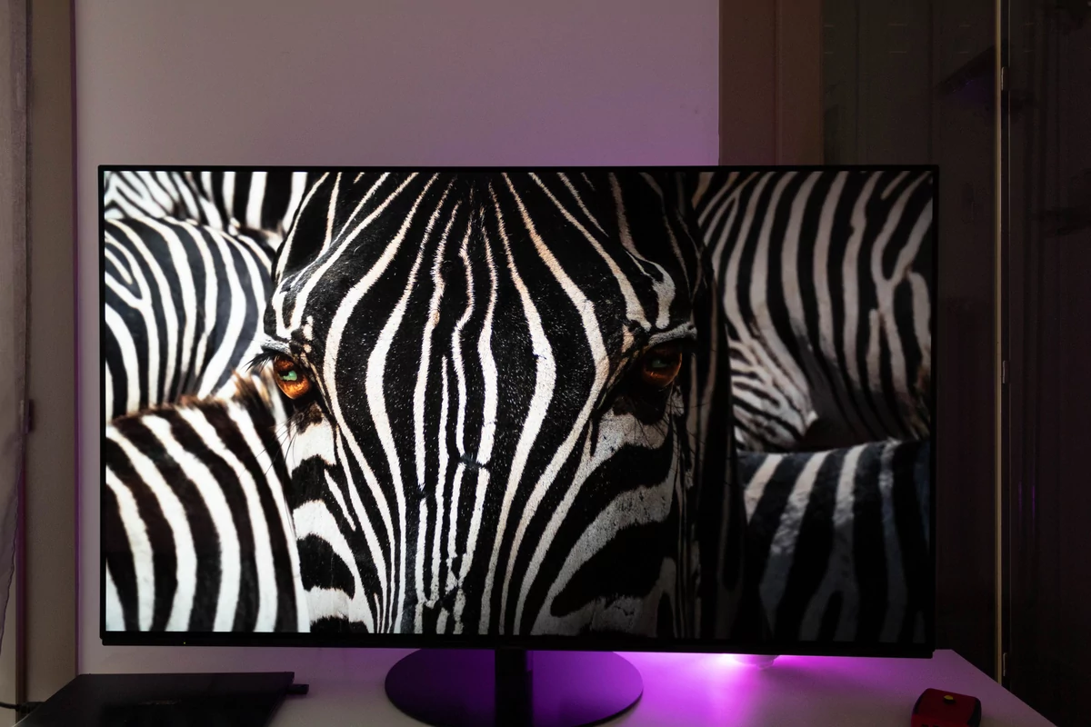 Test-Panasonic-HZ-1000-14.jpg
