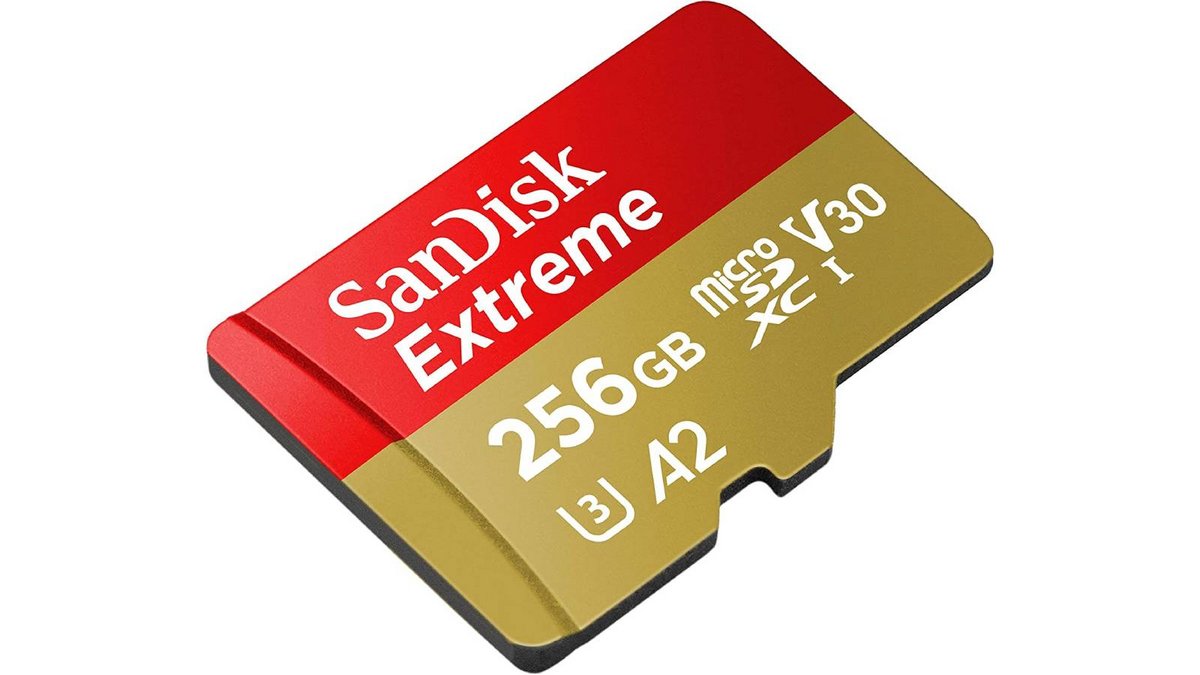 Carte Mémoire microSDXC SanDisk Extreme 256 Go