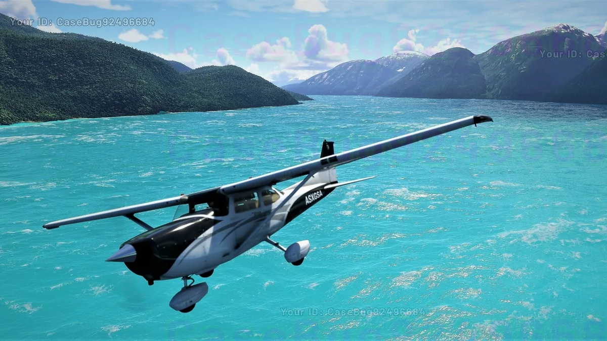 Flight Simulator © Asobo / Microsoft