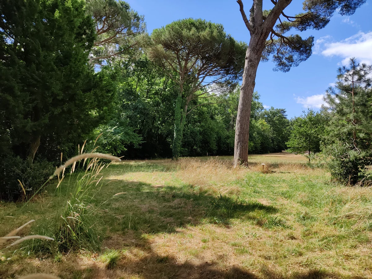 Photo 3 OnePlus Nord © Gabriel Manceau