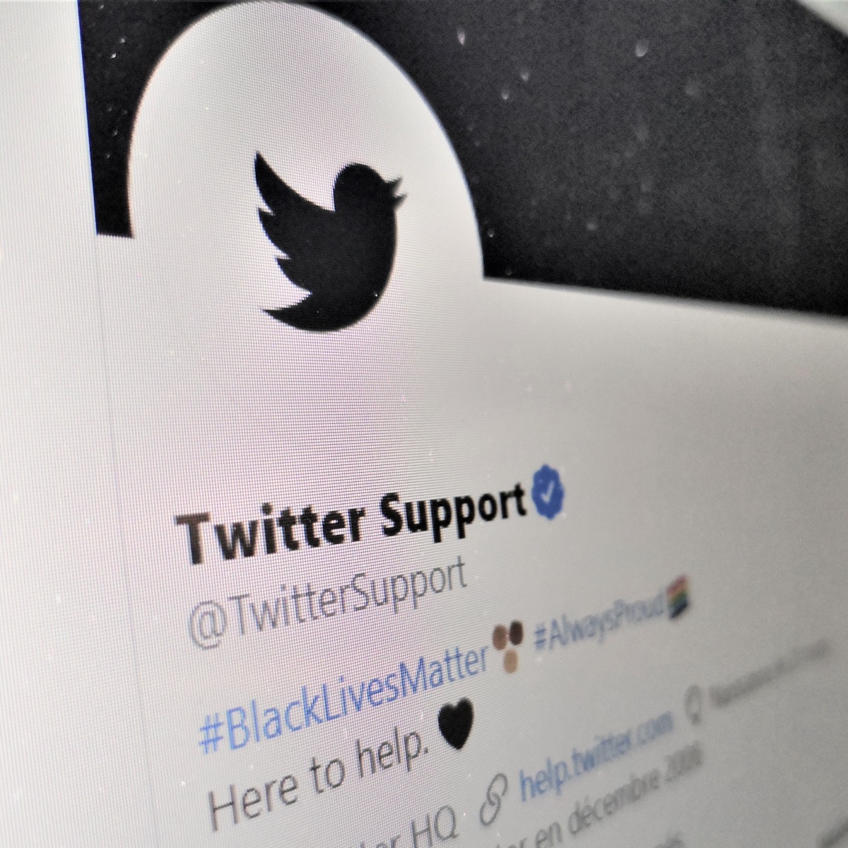 Le programme de certification de Twitter bientôt relancé (dans une version revue et corrigée)