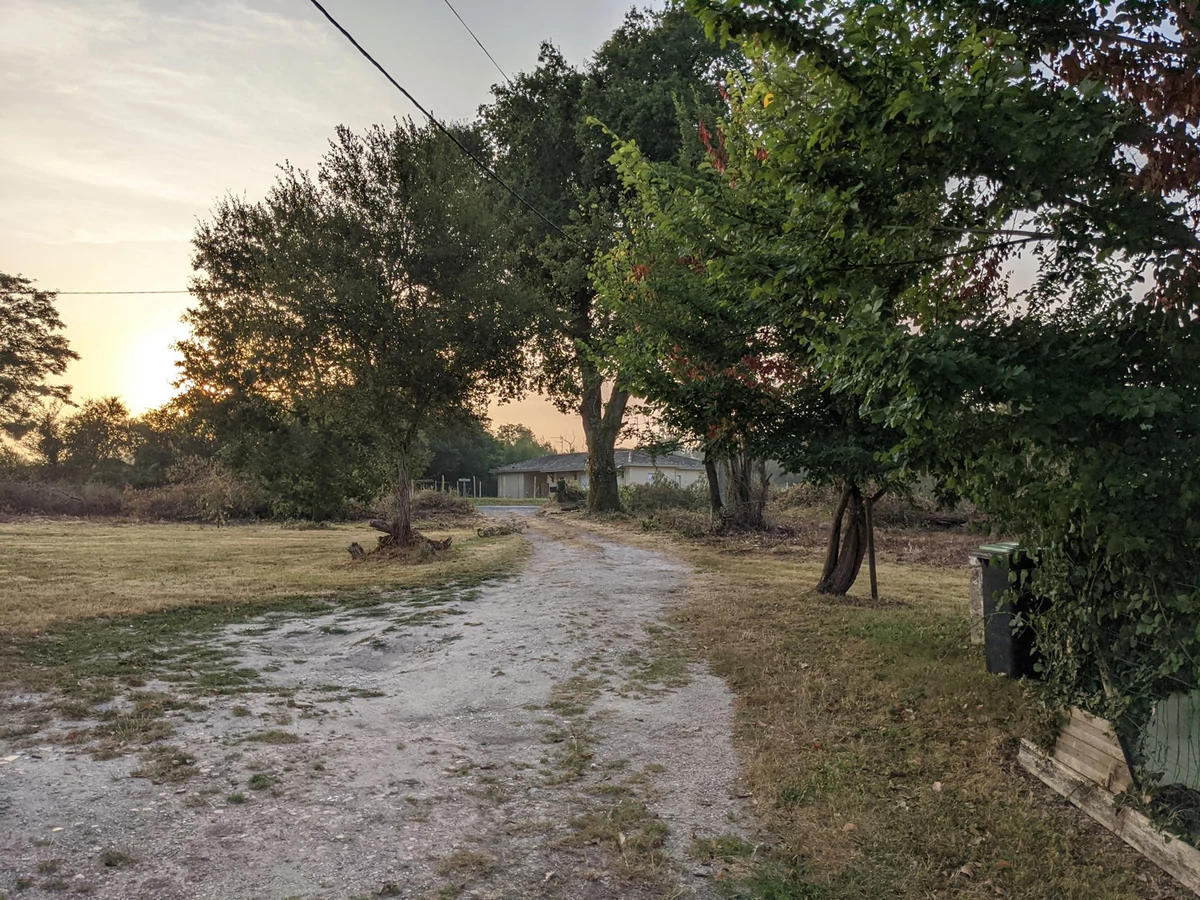 photo google pixel 4a © Gabriel Manceau
