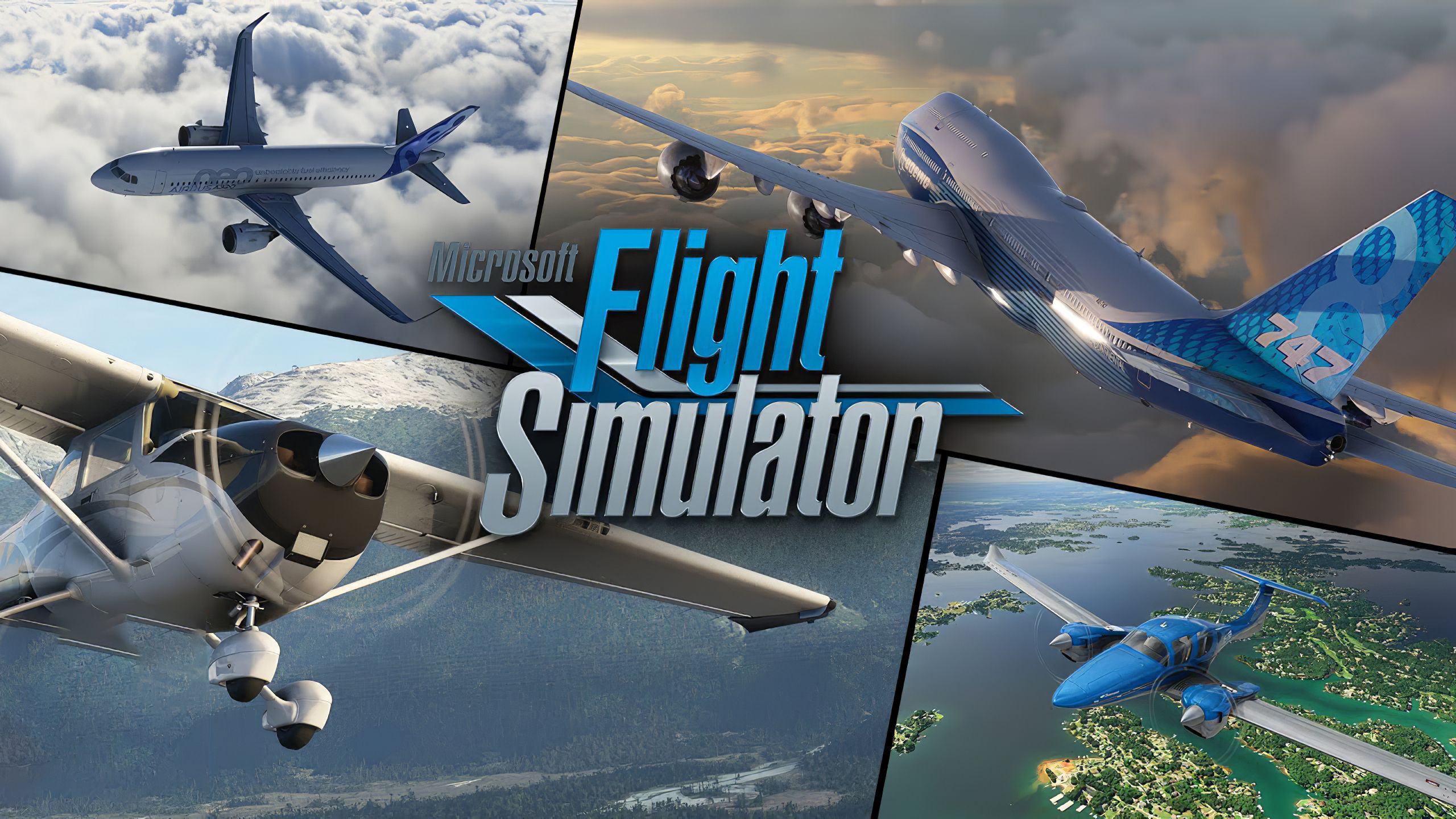Microsoft Flight Simulator Standard Version, Jeux