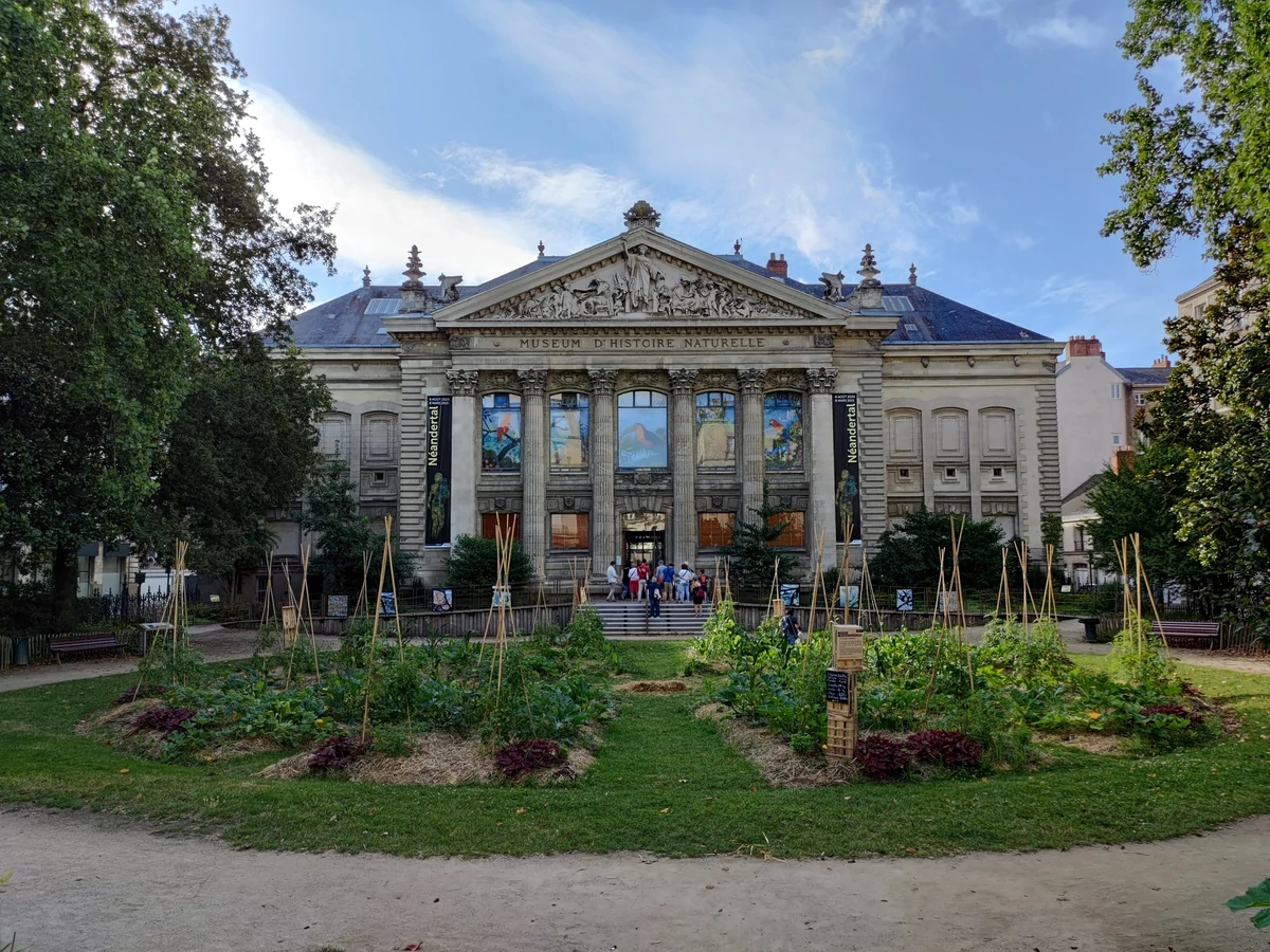 Asus ZenFone 7 Pro test © © Pierre Crochart pour Clubic