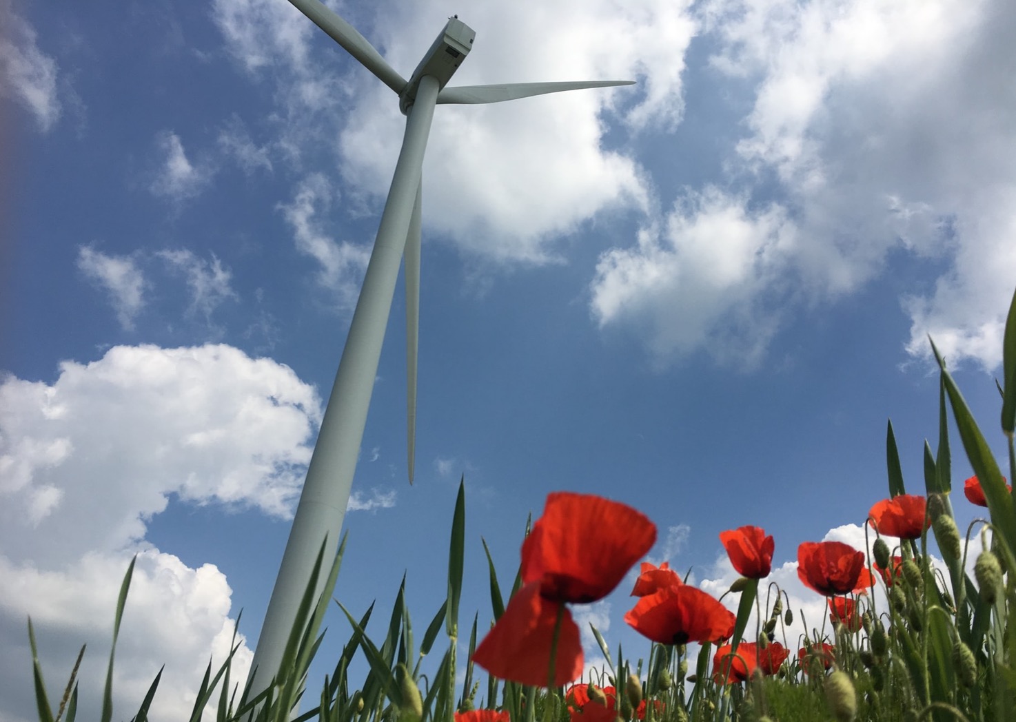 Apple va construire deux des plus grandes éoliennes au monde au large des côtes du Danemark