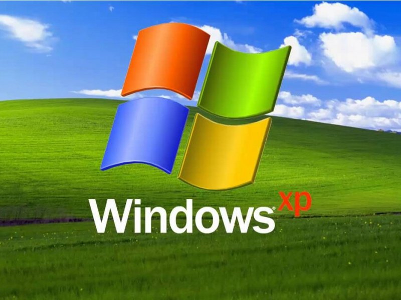 Windows XP serait toujours plus populaire que Windows 11