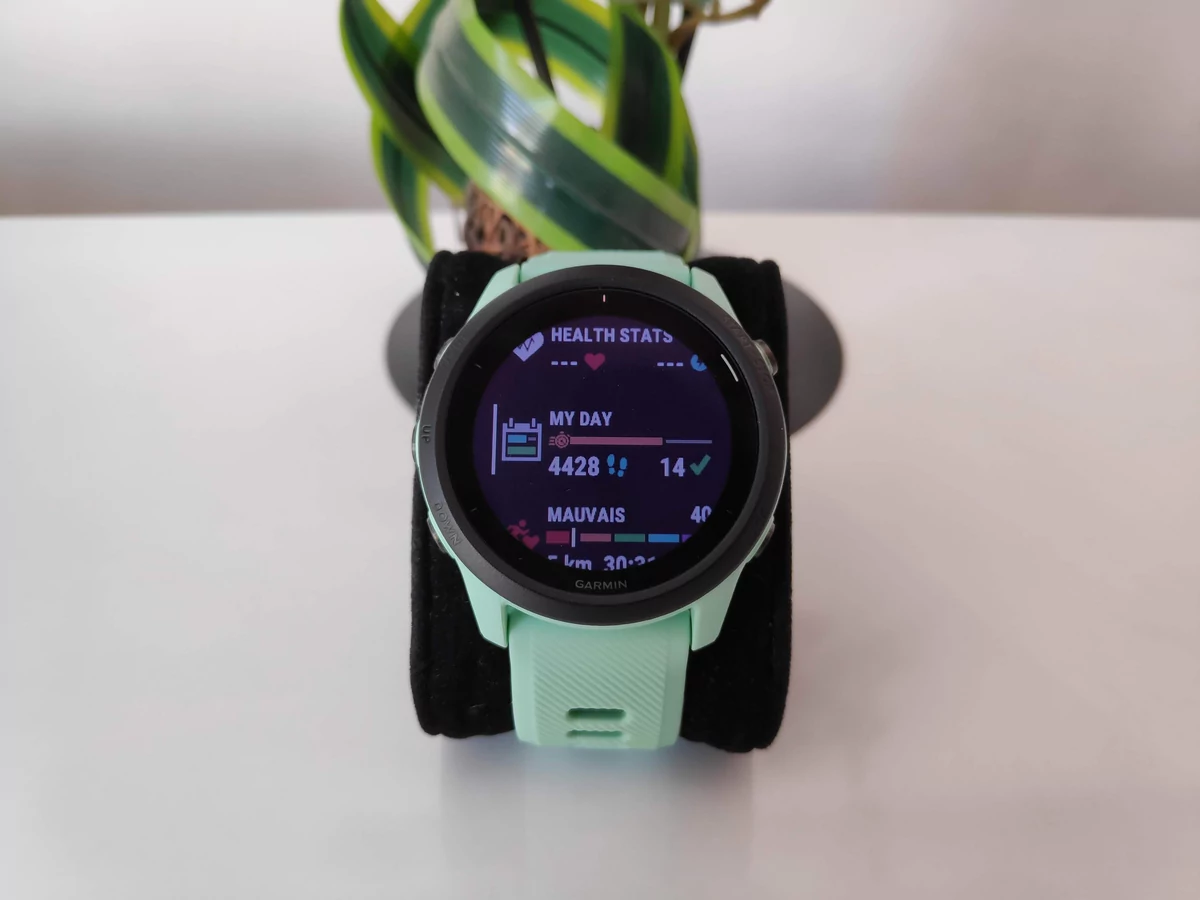 Garmin Forerunner 745 - Widget