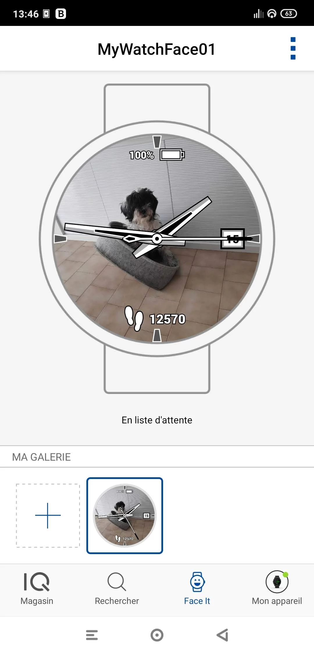 Garmin Face It