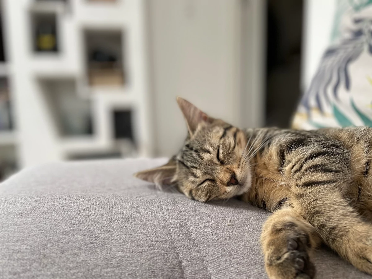 iPhone 12 test © © Pierre Crochart pour Clubic