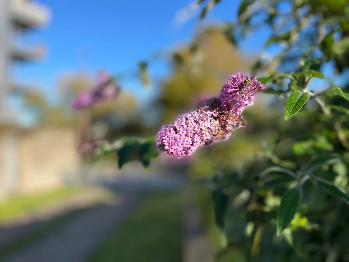 iPhone 12 test © © Pierre Crochart pour Clubic