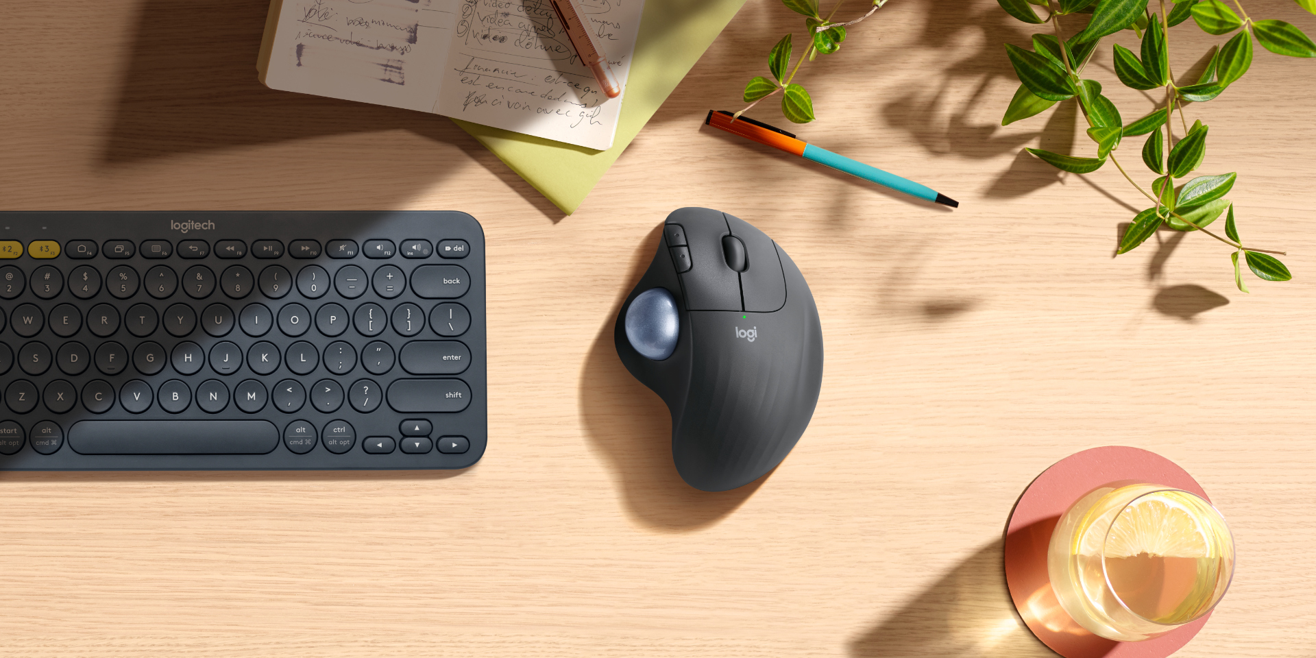 Ergo M575 Trackball - Logitech - Blanc - Souris Ergonomique