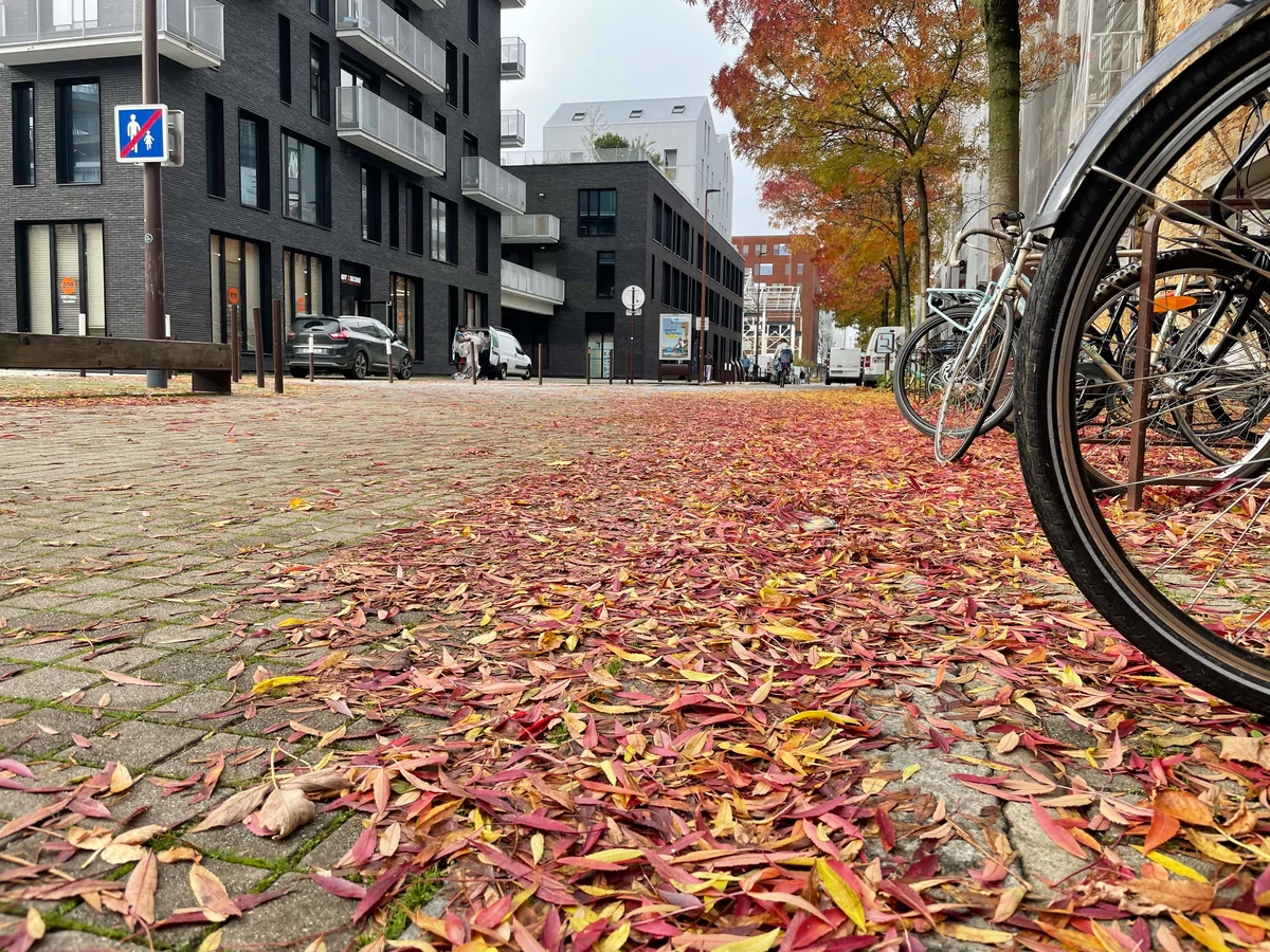 iPhone 12 Pro test © © Pierre Crochart pour Clubic