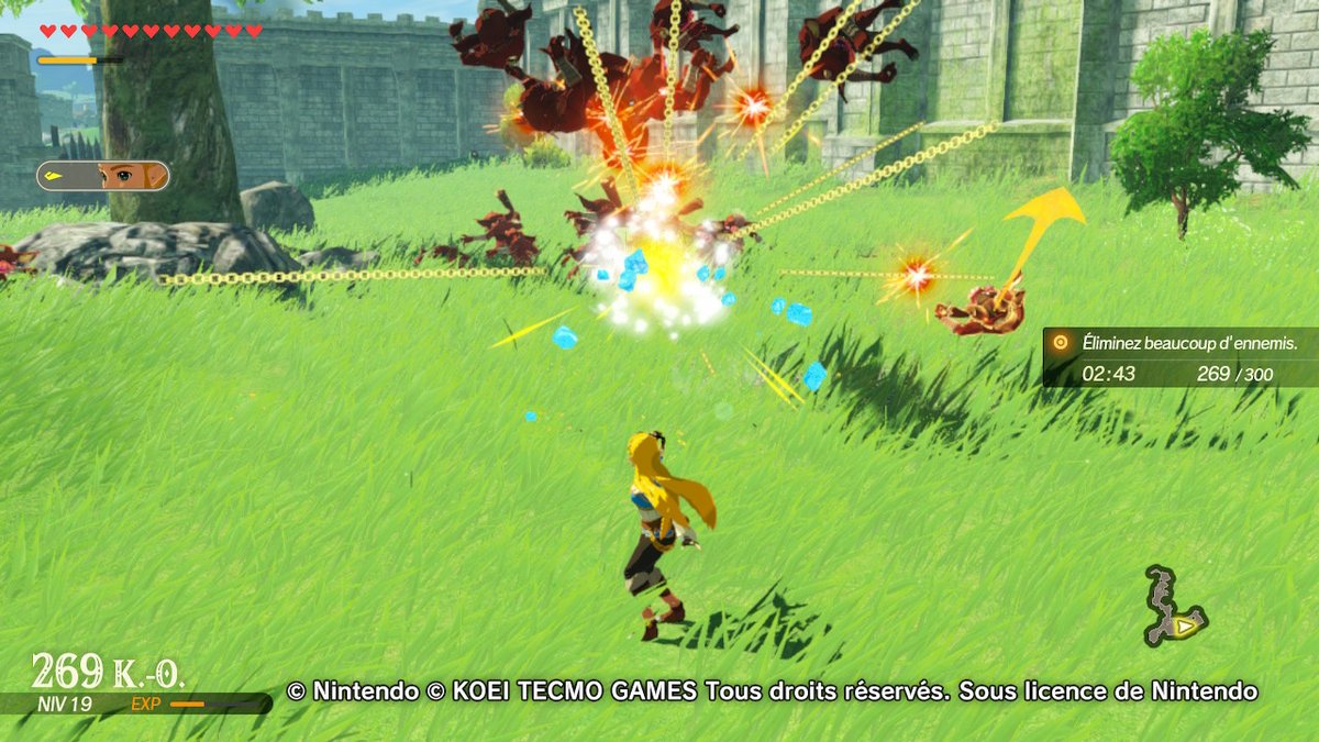 Zelda n'hésite pas à en découdre !