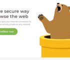 Avis TunnelBear (2024) : que vaut le VPN à la mascotte d’ours ?