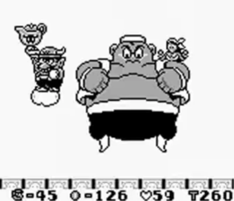 Wario Land