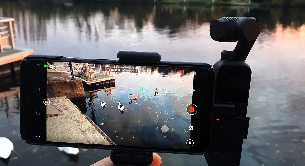 DJI Pocket 2 © David Nogueira