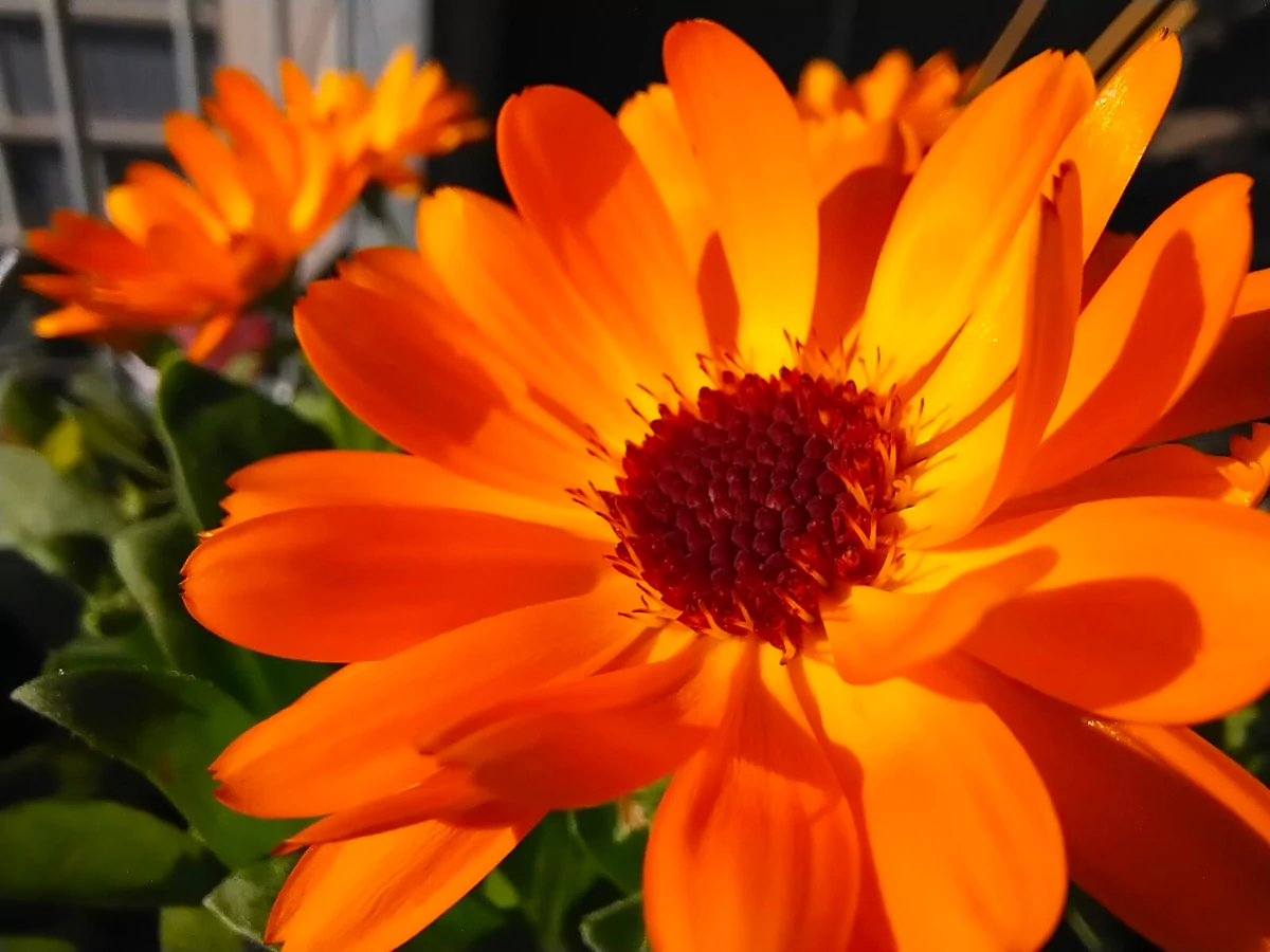 Vivo Y70 test © © Pierre Crochart pour Clubic
