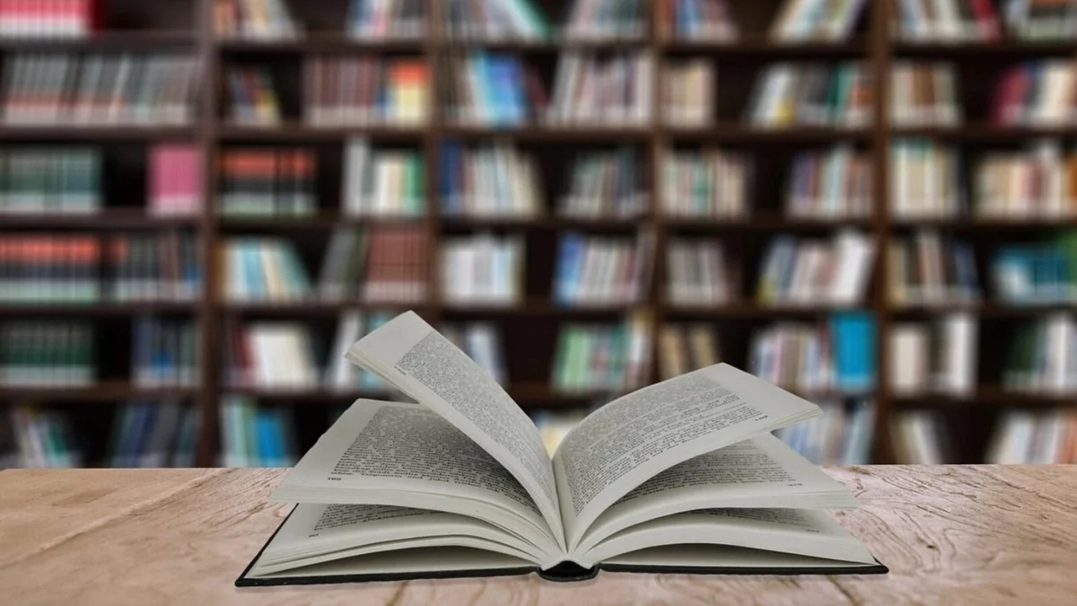 librairie livre © Pixabay