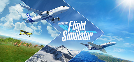 Flight Simulator