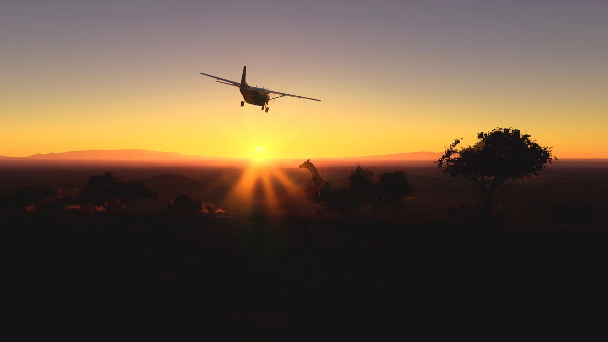 Flight Simulator