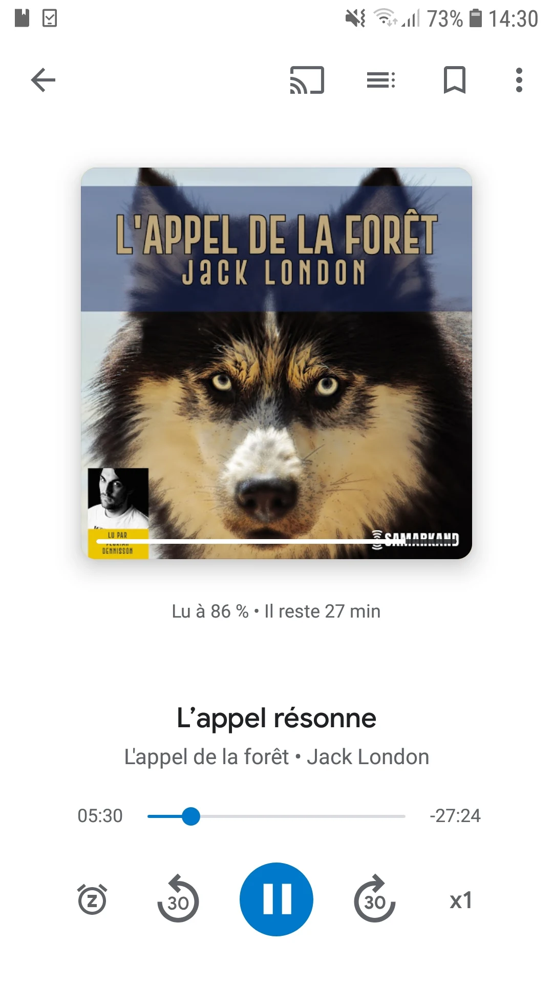 google_livres_audiobook1 © P-E LAURENT