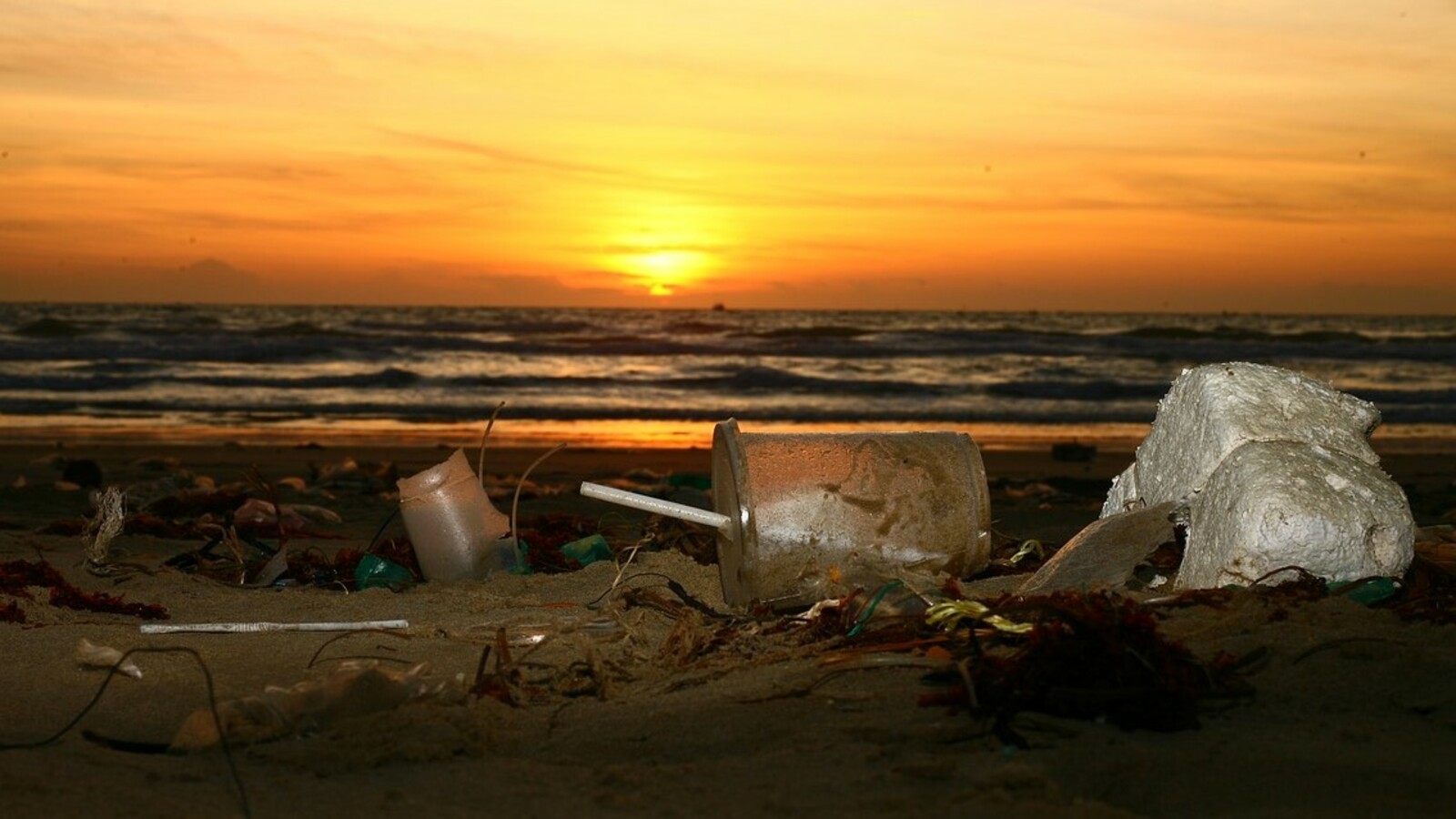 Bonus éco, réparabilité, qualité de l'air, plastique, bornes de recharge : ce qui a changé au 1er janvier 2021