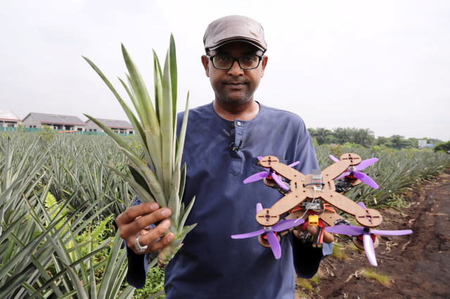 Des drones presque compostables... fabriqués à partir de feuilles d'ananas
