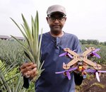 Des drones presque compostables... fabriqués à partir de feuilles d'ananas