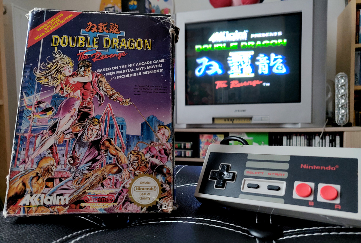 Double Dragon 2: The Revenge sur Nintendo NES : les Fréro Delabagarre...