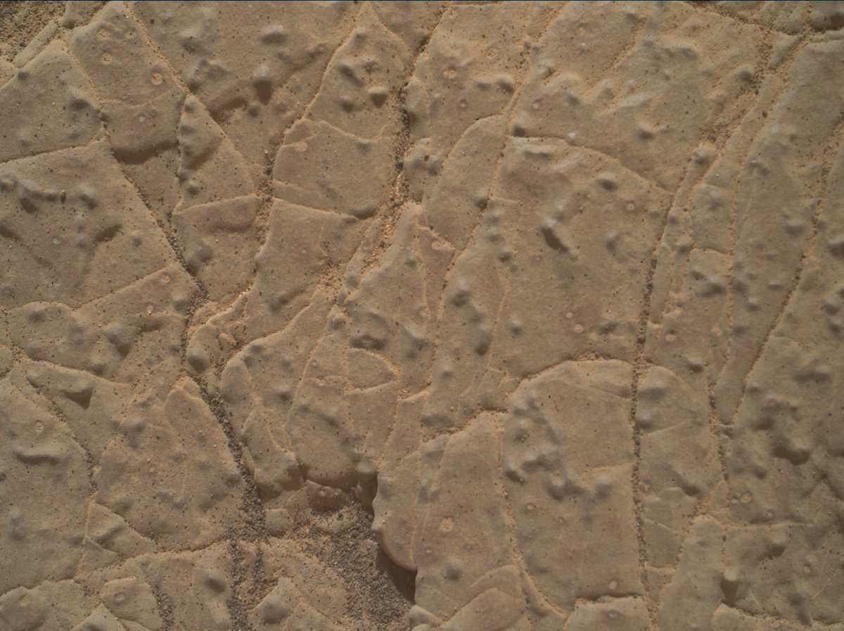 Pour vous, ce n&#039;est peut-être pas très parlant, mais pour les géologues, cette vue très rapprochée du sol de Mars peut représenter un véritable trésor. Entre la poussière, les veines, les inclusions... Crédits NASA/JPL-caltech