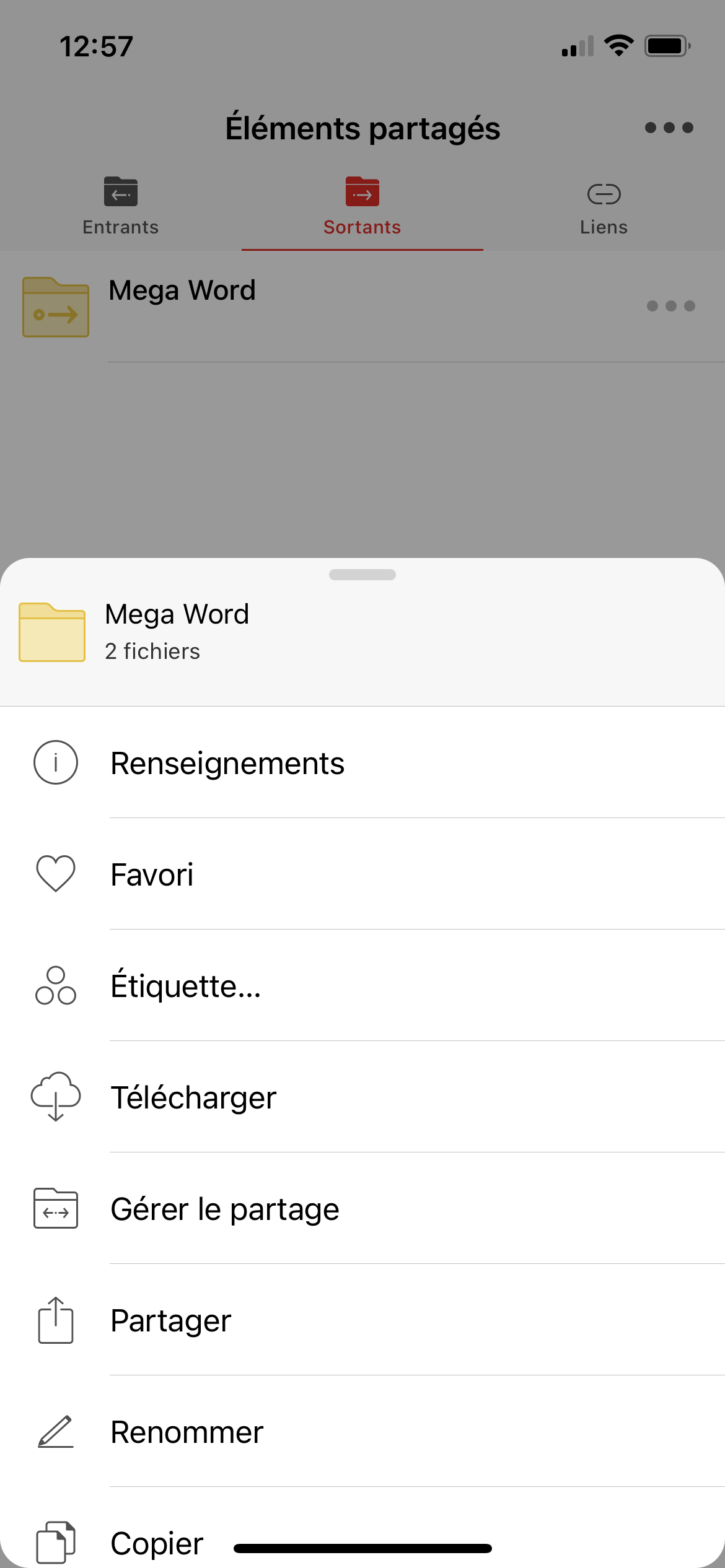 MEGA - Interface utilisateur mobile