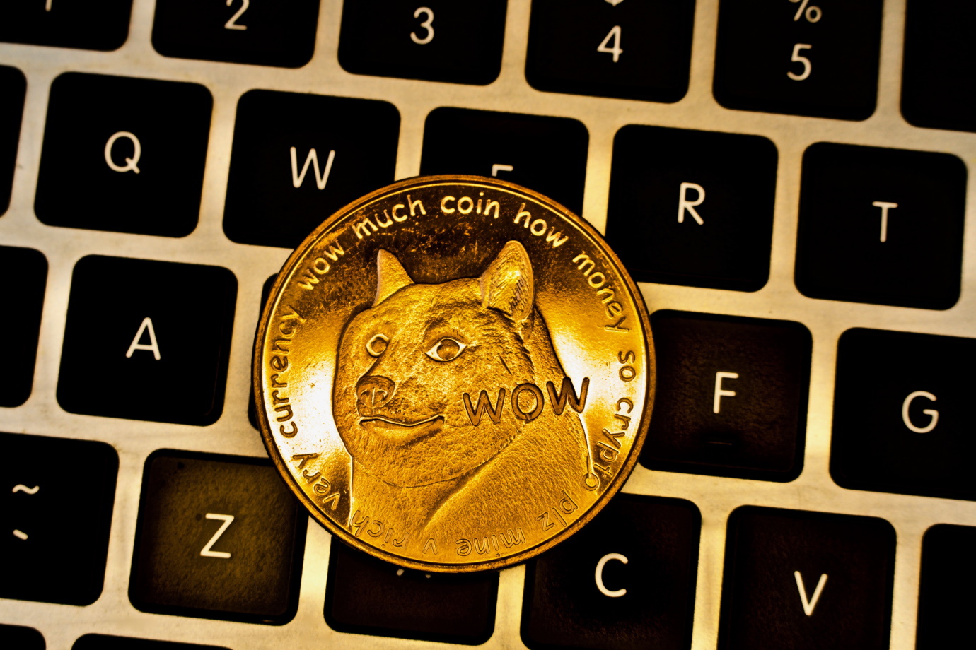 Dogecoin : la brève histoire d'un crypto-meme