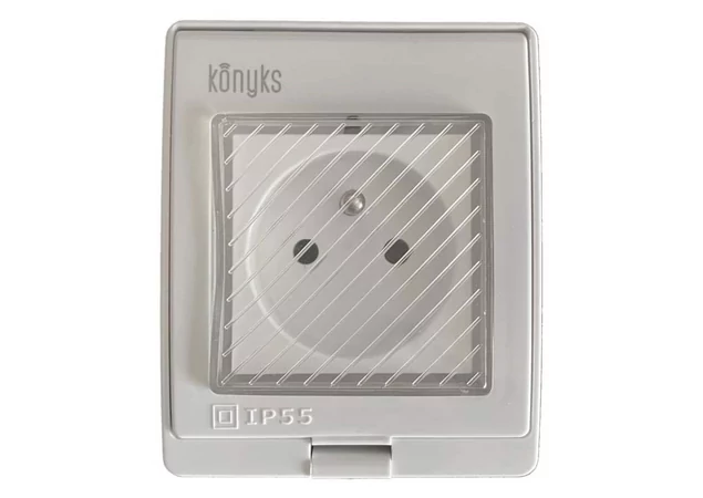 Konyks Pluviose