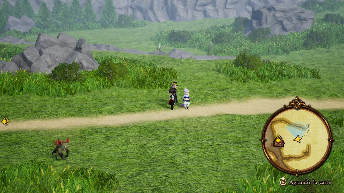 En coupant les herbes sur la "world map", le joueur peut obtenir des objets